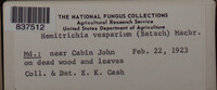 Image Associated With the Occurence